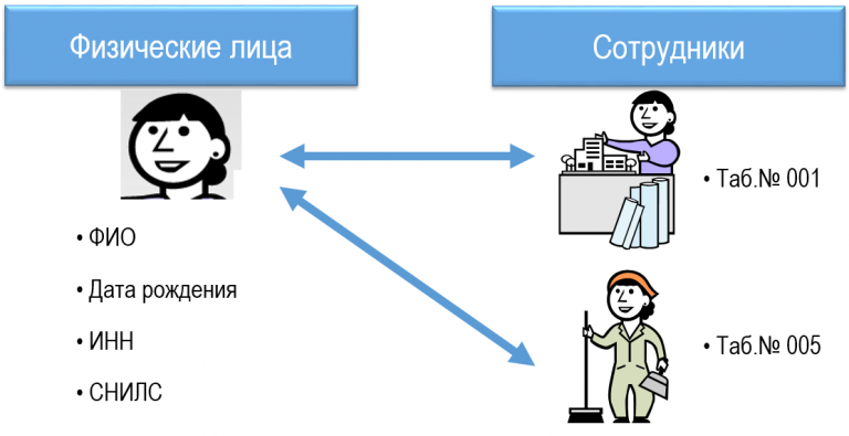 Чем отличаются справочники физические лица и сотрудники 1с