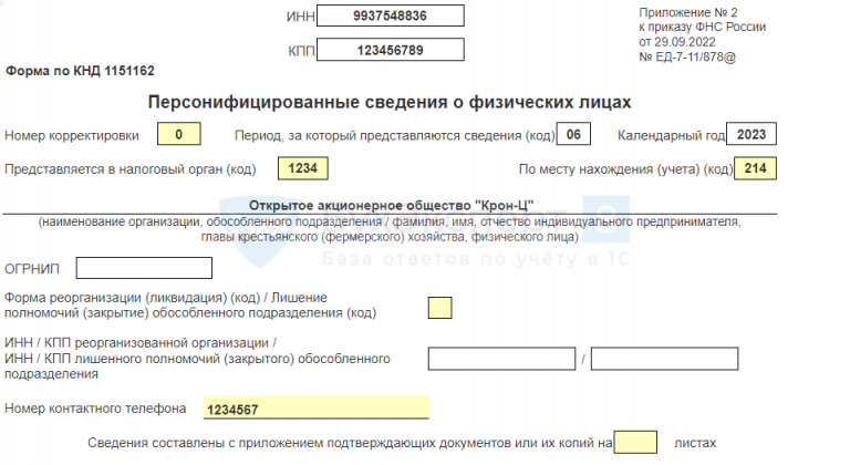 Персонифицированные сведения о физлицах — как заполнить и сдать